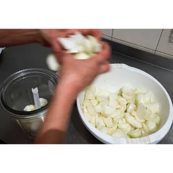 Frozen Onion (22)-7788628-83869.webp